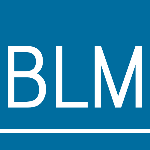 BLM Rechtsanwaelte