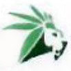 Ayu Verde GmbH