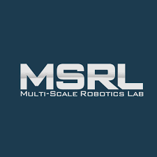 Multiscale Robotics Laboratory