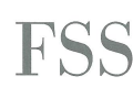 FSS Consulting GmbH