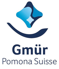E.J. Gmür AG