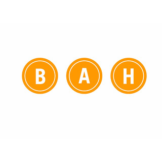 B.A.H. Personaldienste GmbH