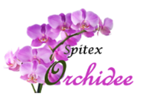 Spitex Orchidee AG
