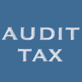 AUDITTAX Prof. Raber GmbH Wirtschaftsprüfungsgesellschaft