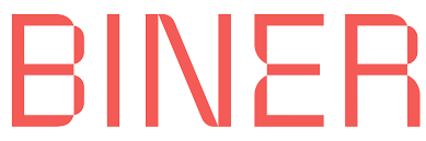 Biner IT Consulting