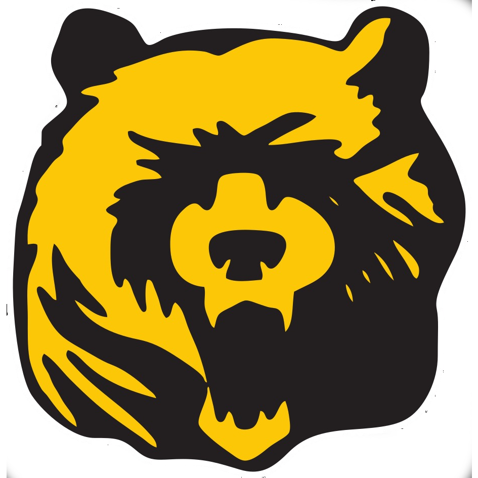 Bern Grizzlies American Football Club