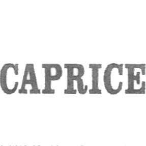 Wellness-Hotel Caprice