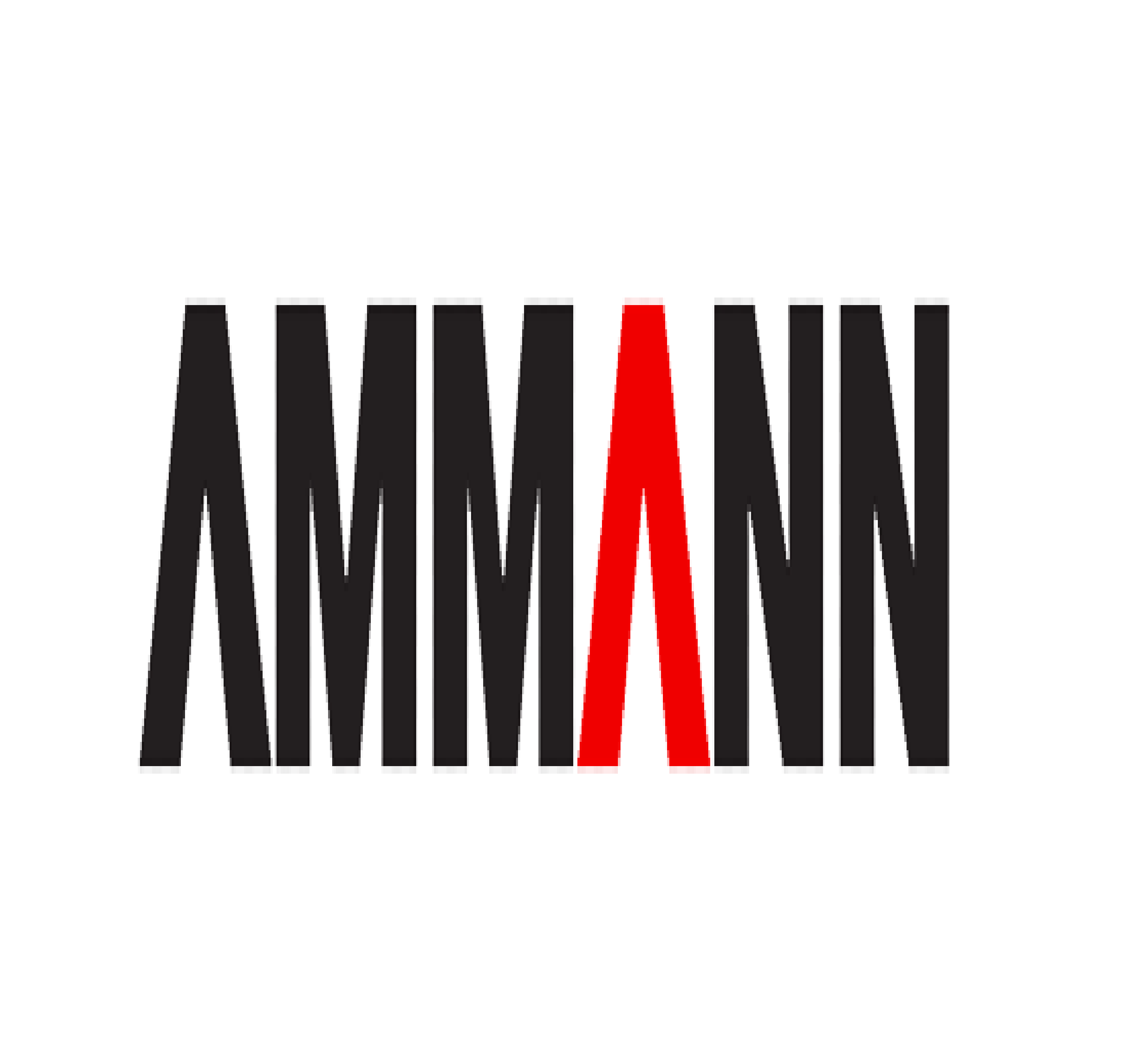 Ammann Partner AG