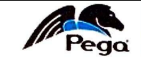 Pegasystems AG