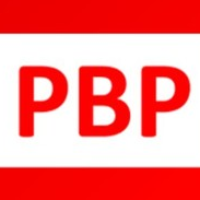 Pro Business Partners International
