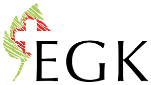 EGK Services AG