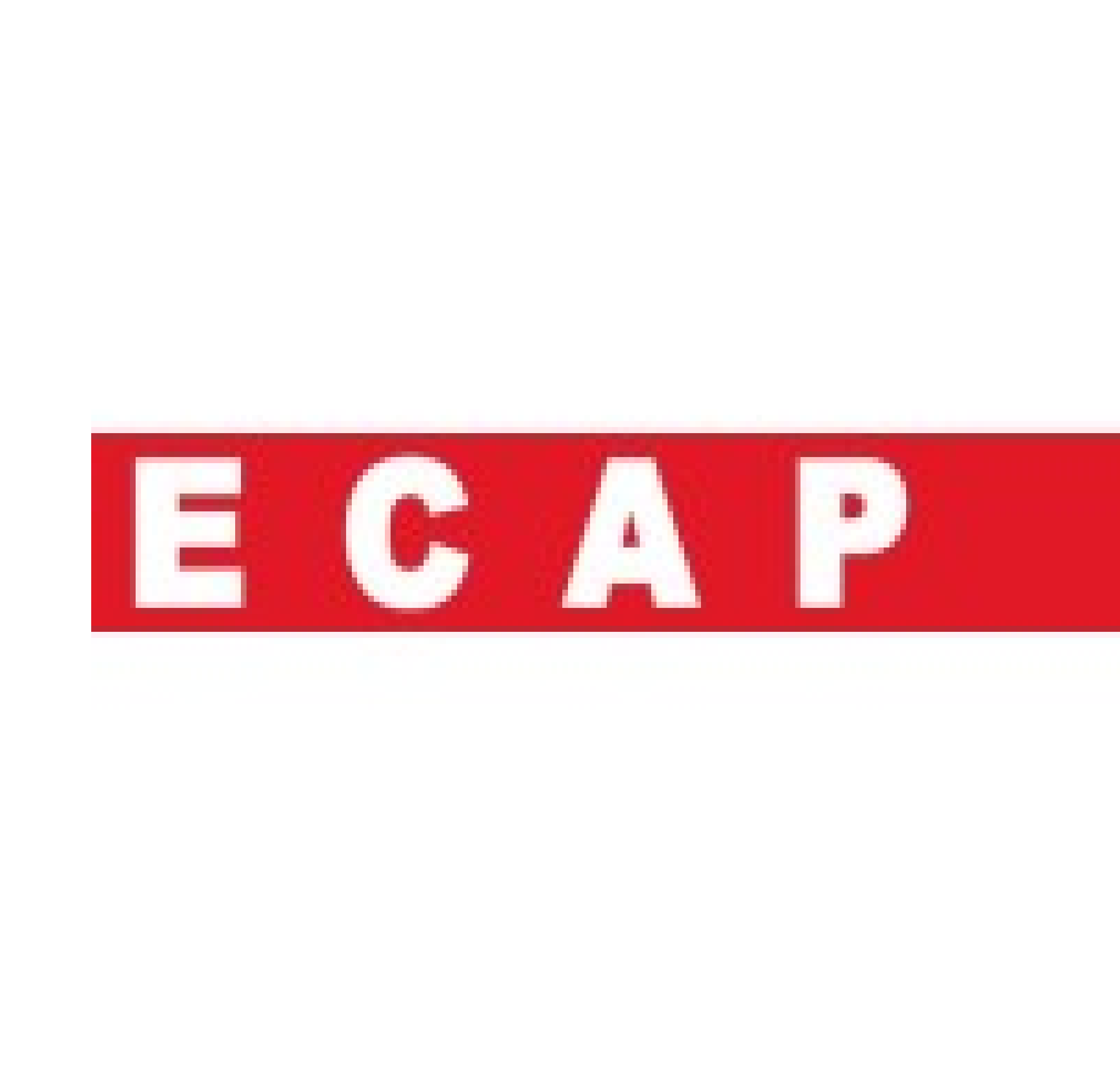 Ecap Schule