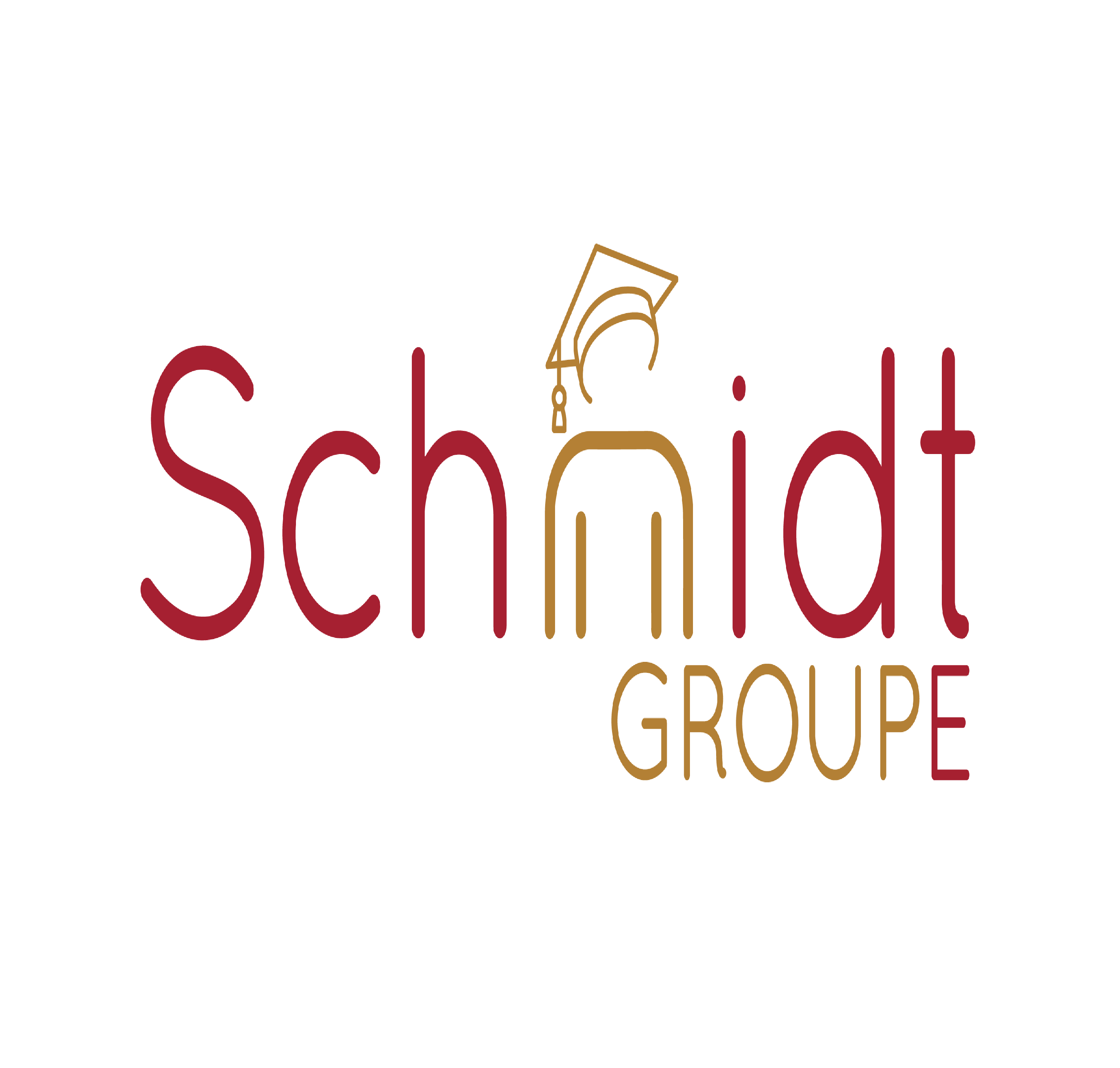 Schmidt Groupe