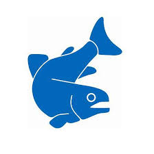 Zahner Fischhandel AG