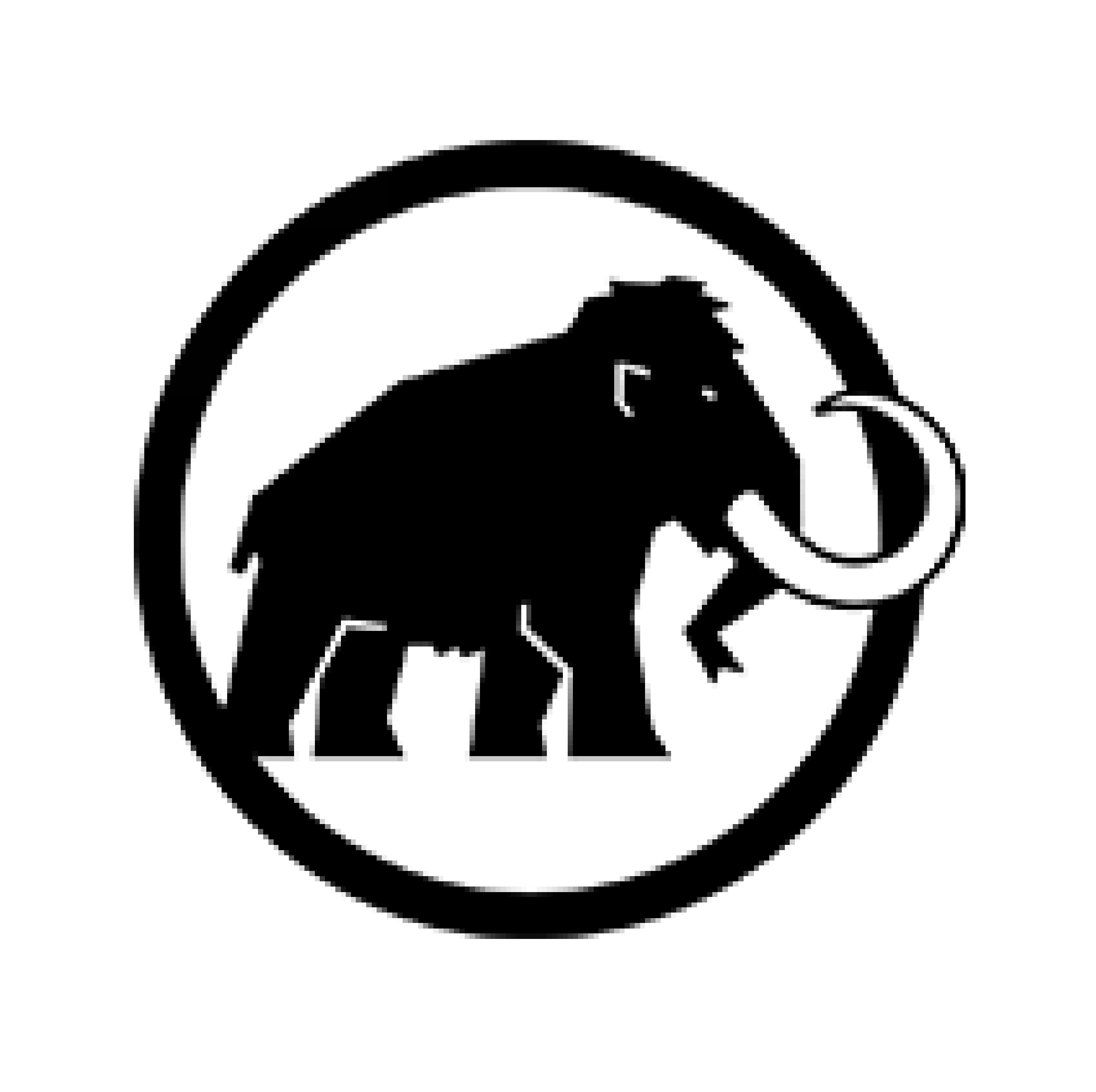 Mammut Tec