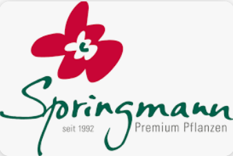 Pflanzen Springmann