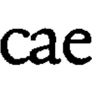 Cae consulting, Sven Rau GmbH