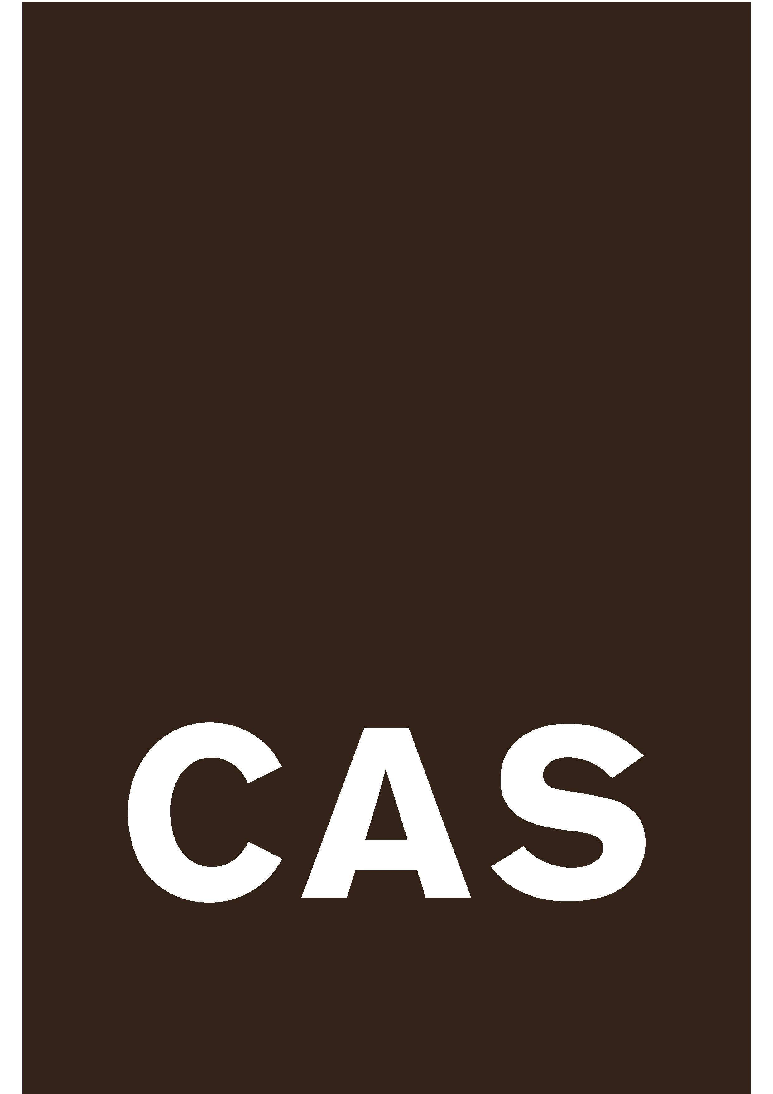 CAS Architektur AG