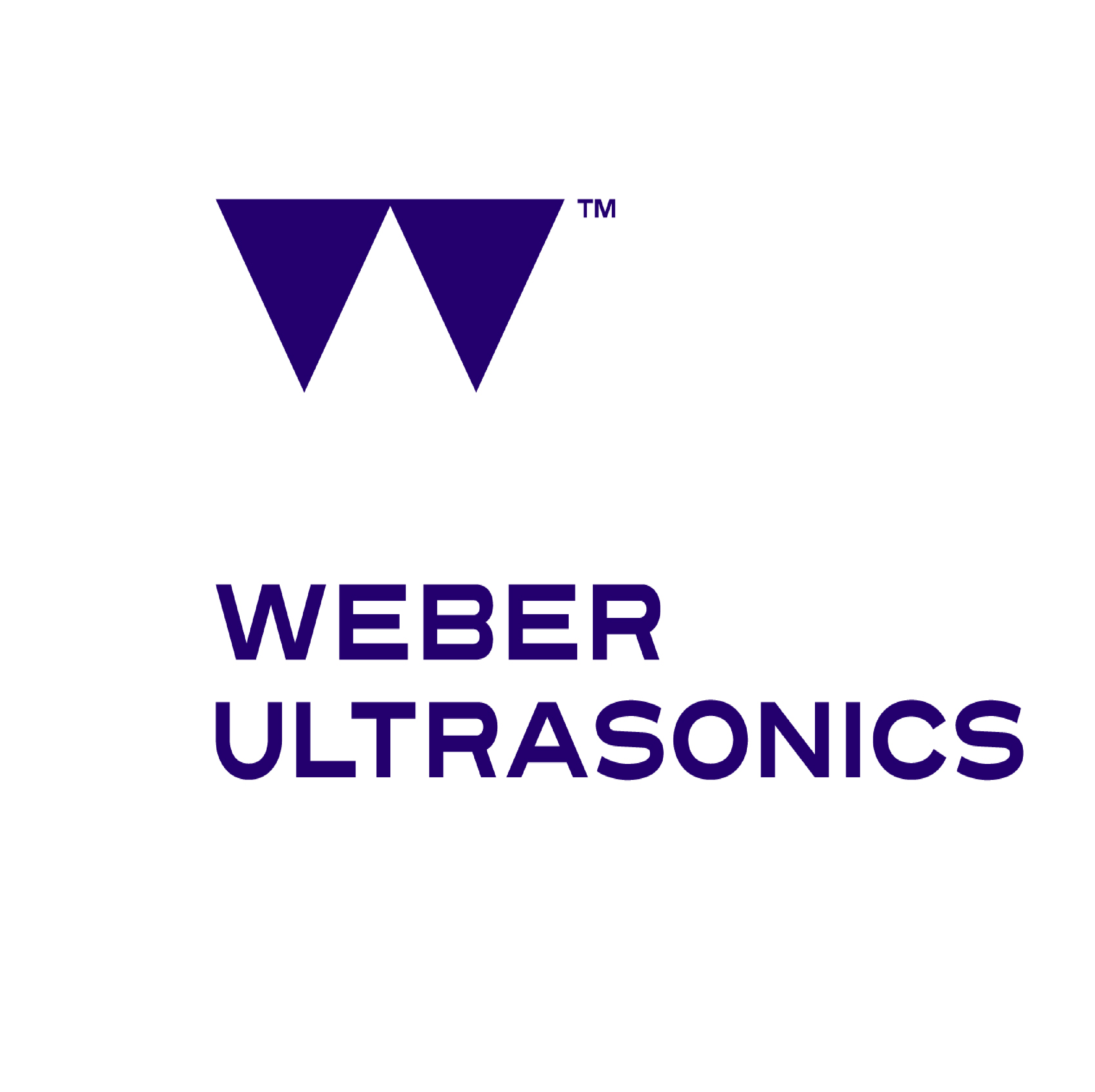 Weber Ultrasonics AG