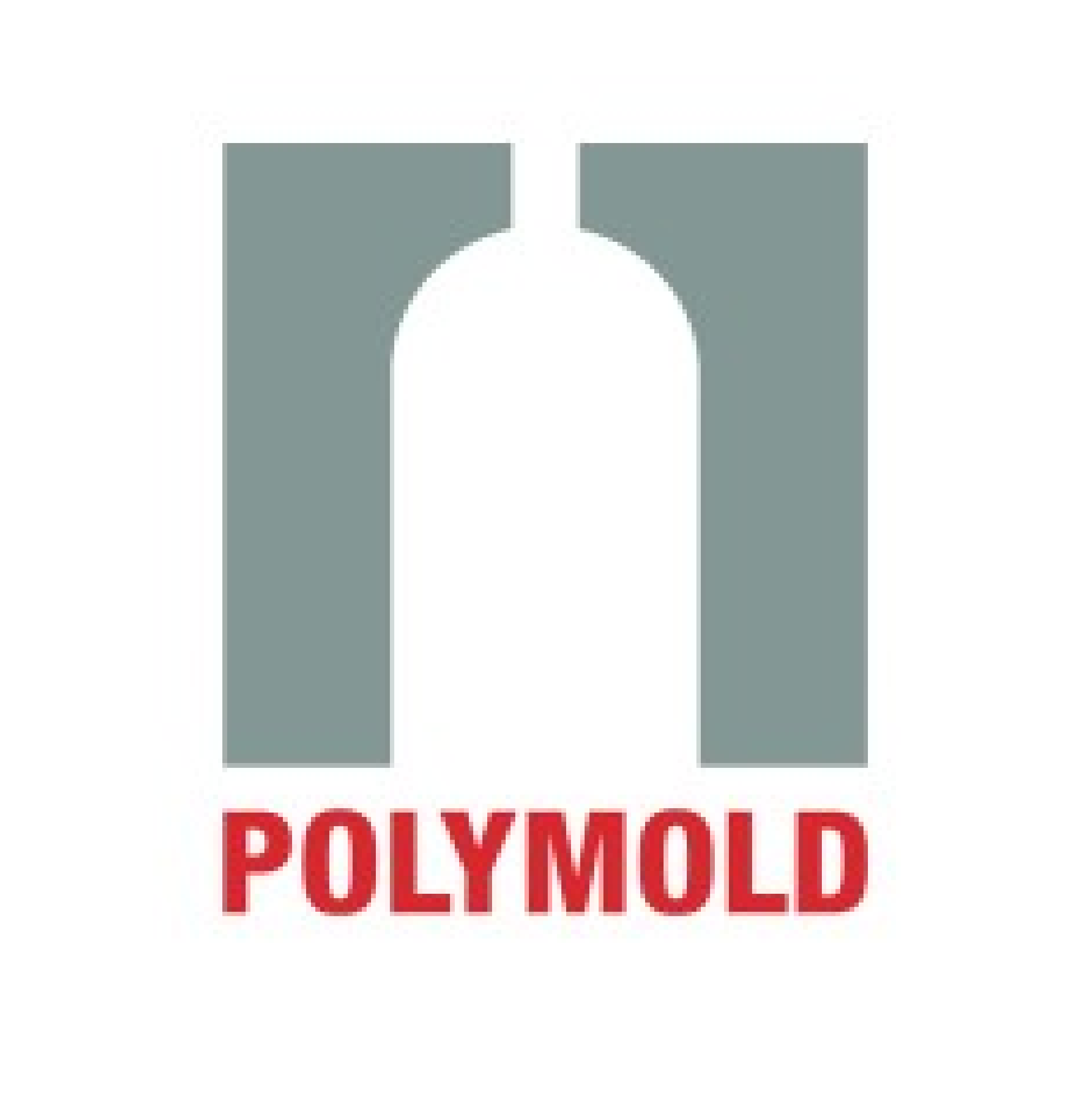 Polymold AG