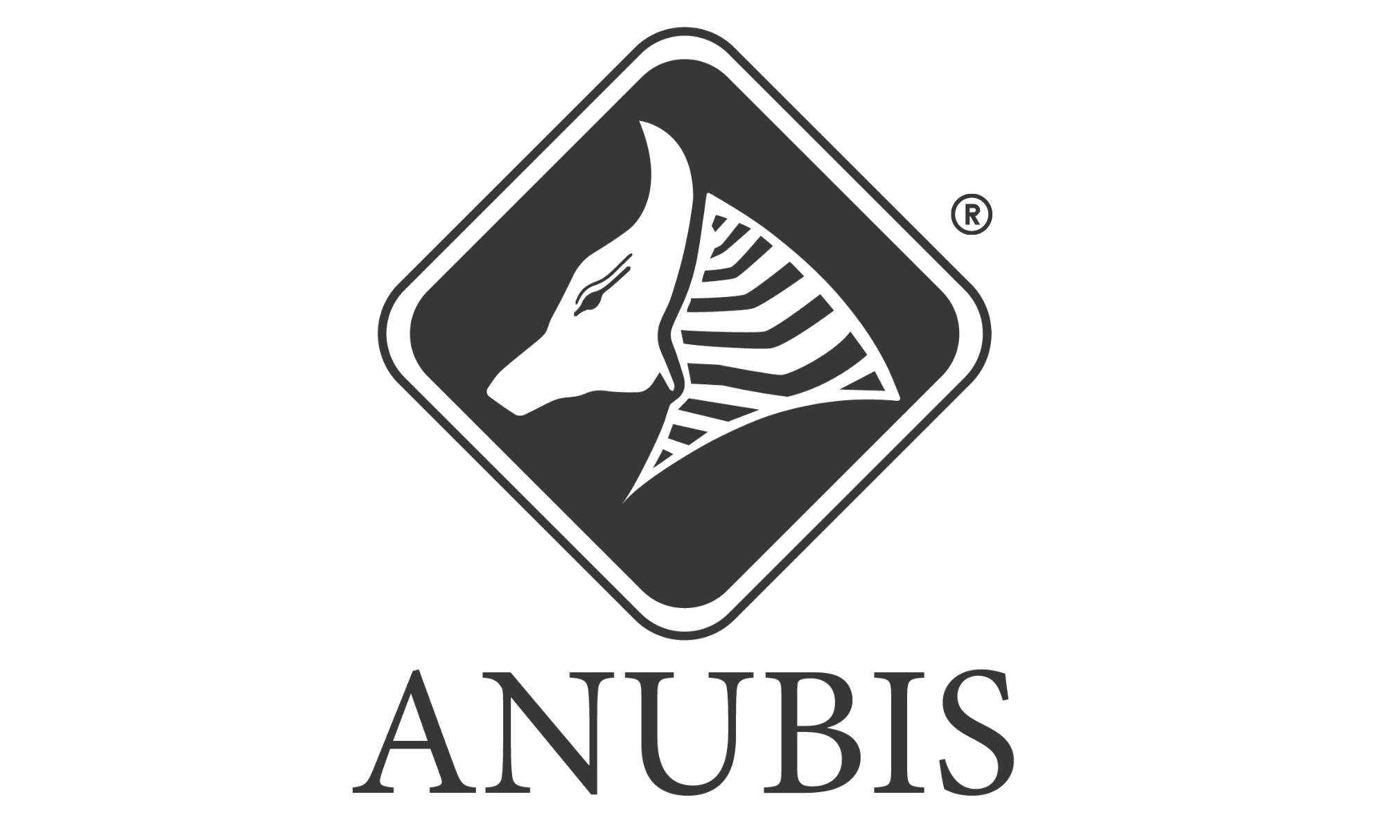 Anubis Electronic GmbH