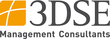 3DSE Management Consulting