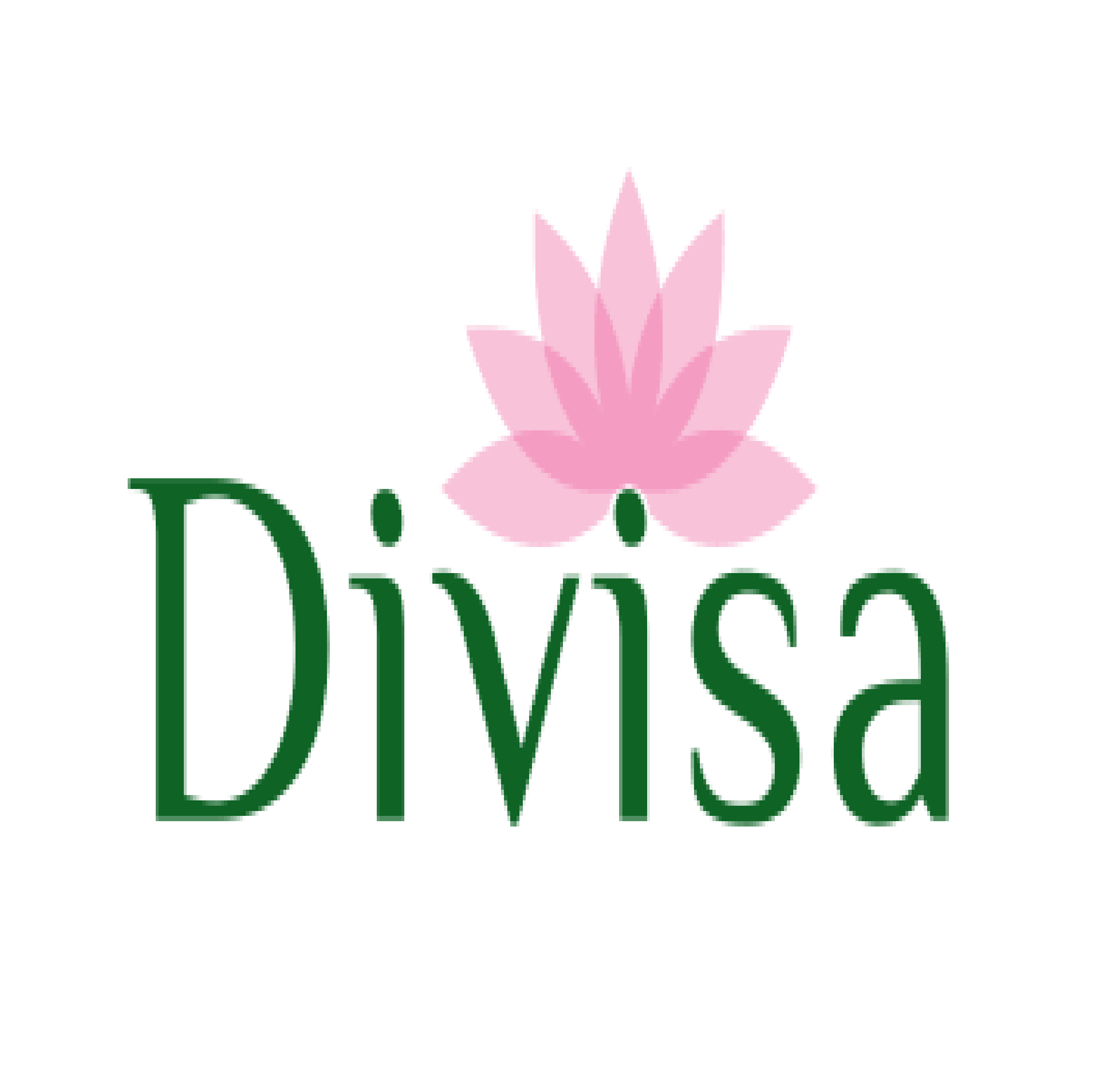 Divisa