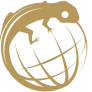 Adaptive Solutions & Advisory Group