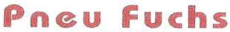 Pneu Fuchs