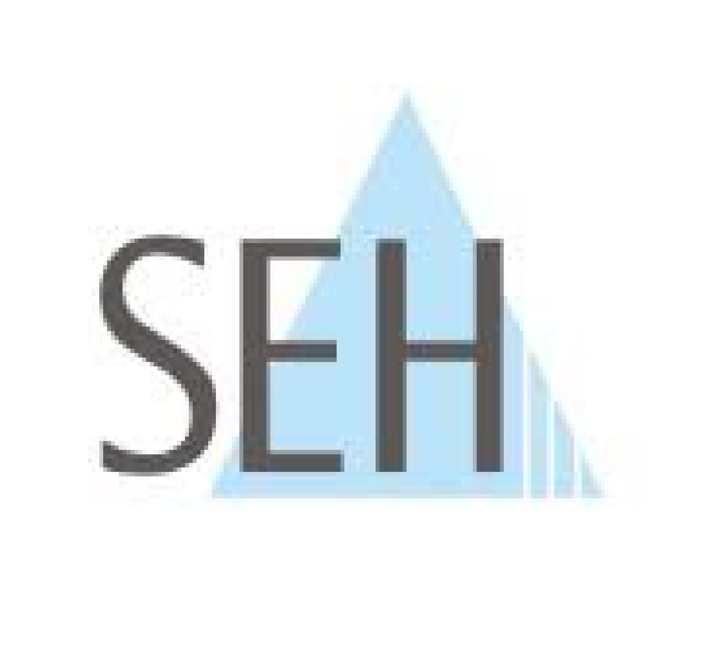 SEH Technik GmbH