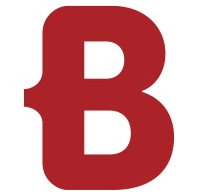 Borm-Informatik AG