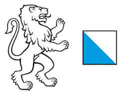Kanton Zürich, Finanzdirektion, Amt für Informatik (AFI)