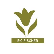 E.C. Fischer AG