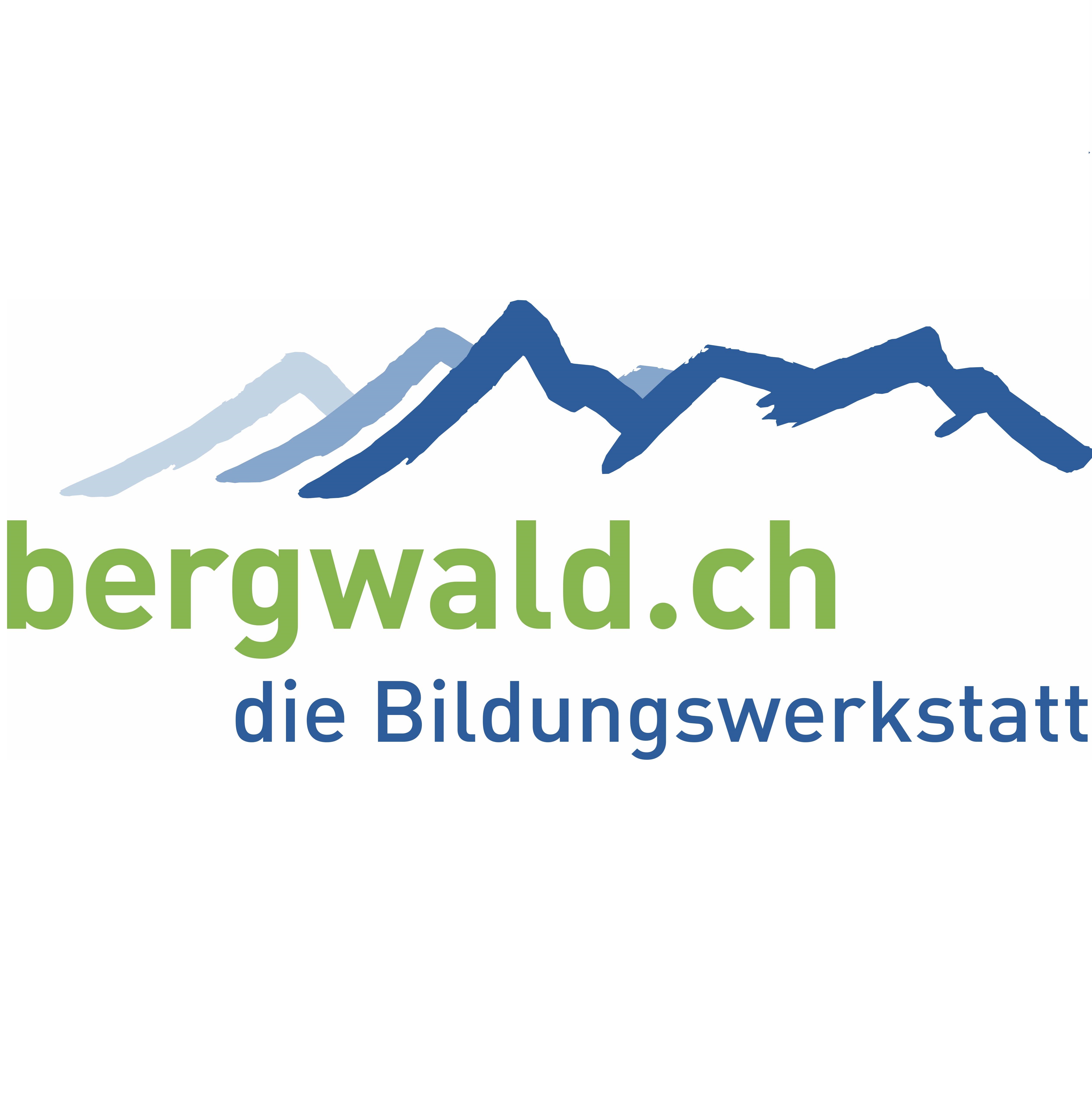 Bildungswerkstatt Bergwald
