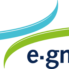 e-gnition Hamburg e.V.