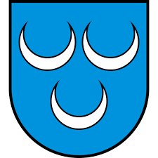 Dienstleistungsbetrieb Gemeinde Oftringen (Informatikzentrum IZO)