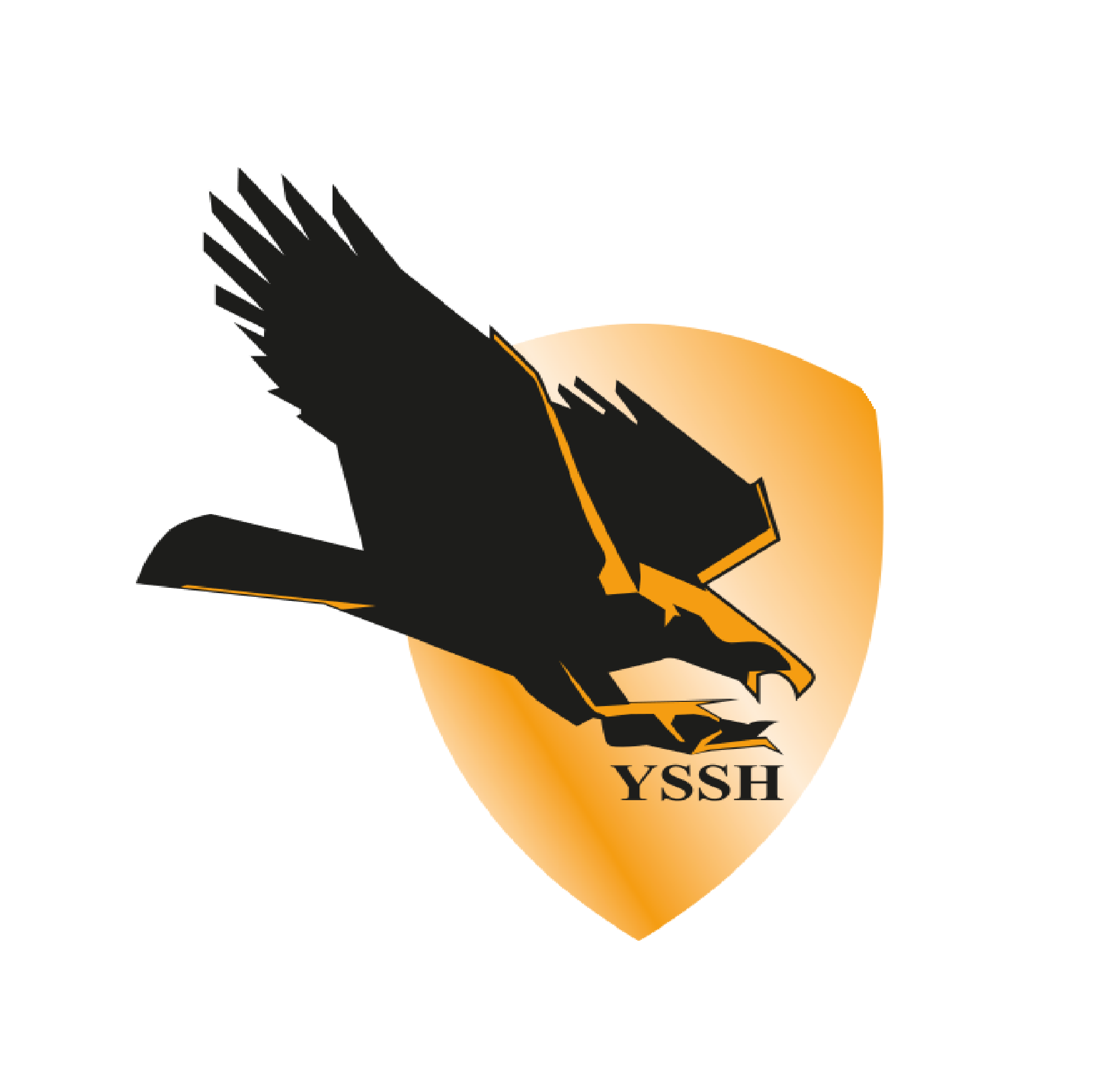 Yepsan Aerospace and Defence