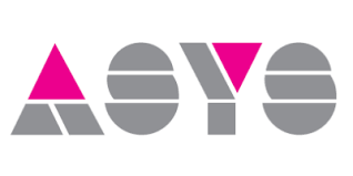 ASYS Automatie Systems GmbH & Co. KG
