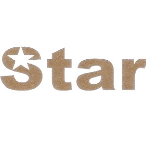 Star Polymers