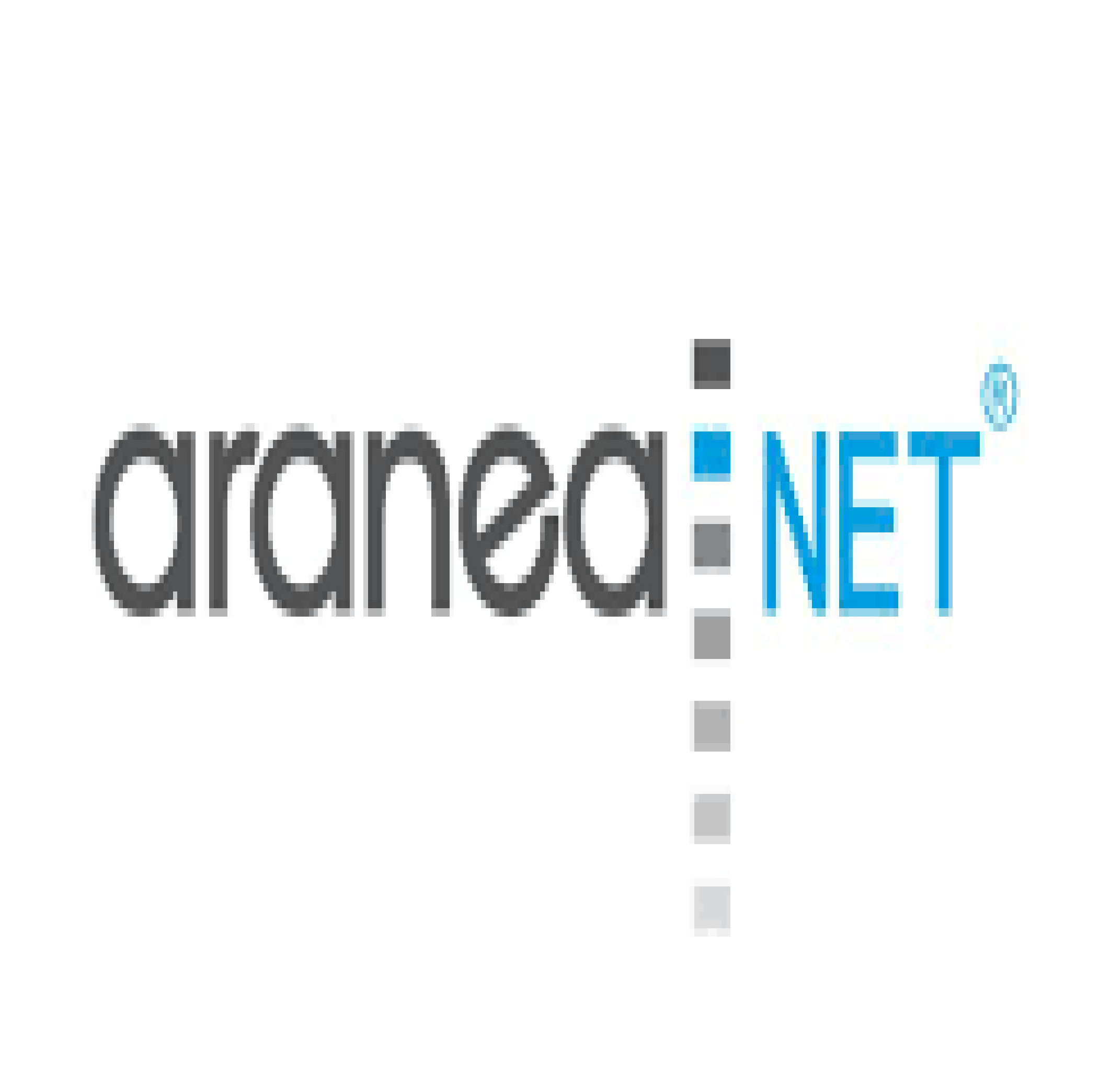araneaNET GmbH