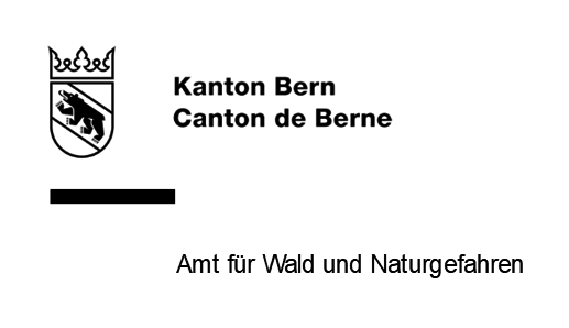 Amt für Wald des Kantons Bern