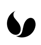 points GmbH