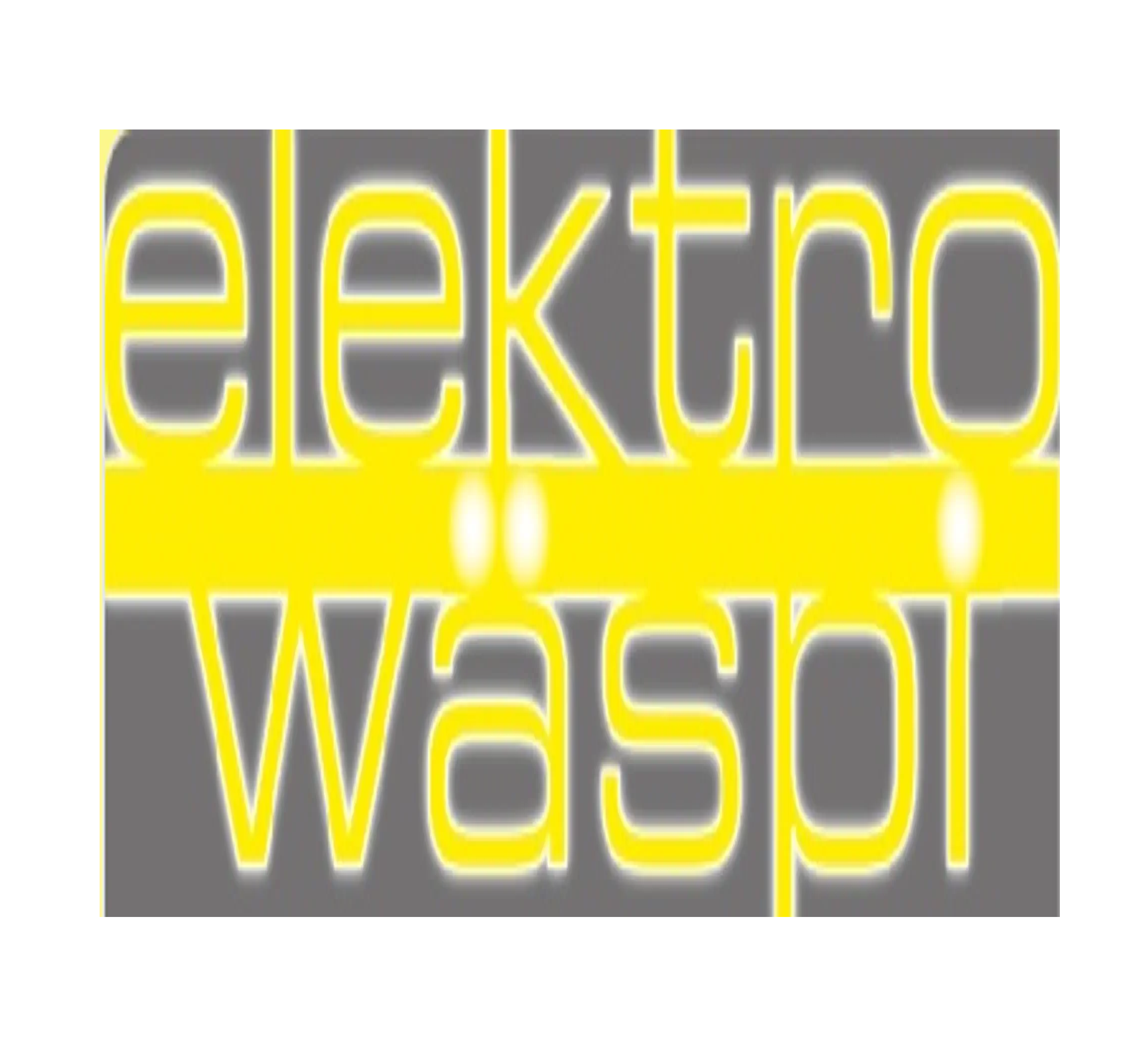 Elektro Wäspi AG