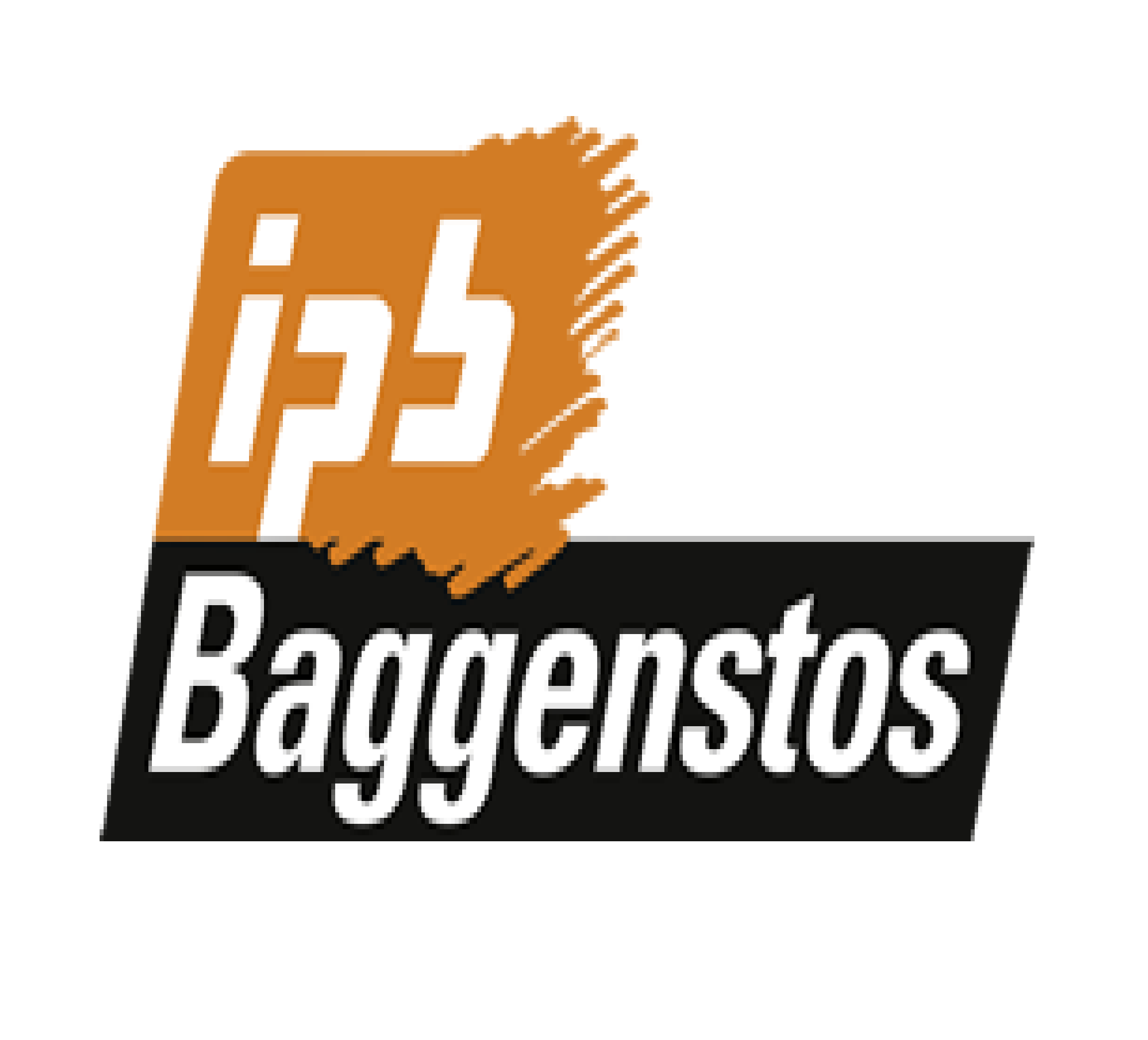 ipb Baggenstos Elektro