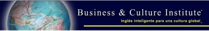 Business & Culture Institute