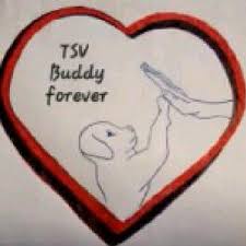 Tierschutzverein Buddy Forever