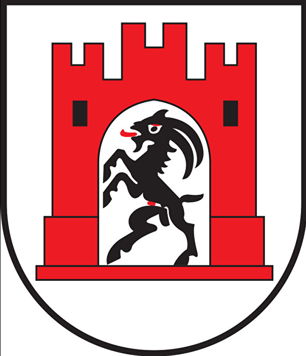 Finanzkontrolle der Stadt Chur