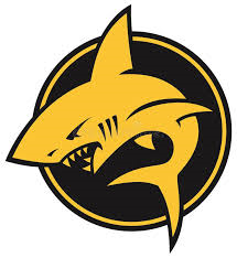 Yellow Shark