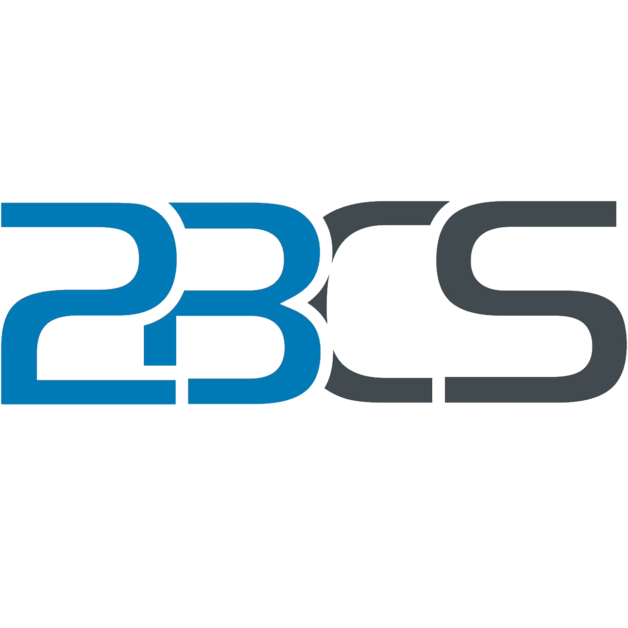 2BCS AG