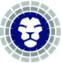 Lion Value Partners AG